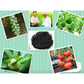 Agrochemical Npkn-P-K Compound Potassium Humate Organic Fertilizer